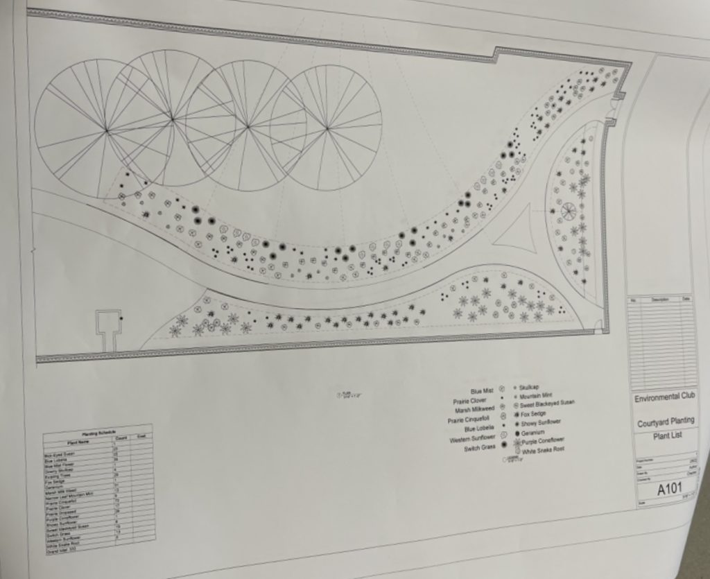 Landscape plan for courtyard